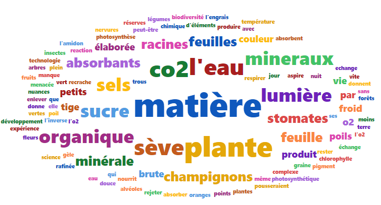 nuage de mots sur le thème de la photosynthèse